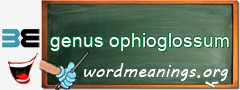 WordMeaning blackboard for genus ophioglossum